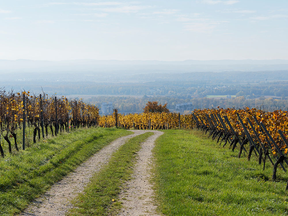 wineries near hocking hills