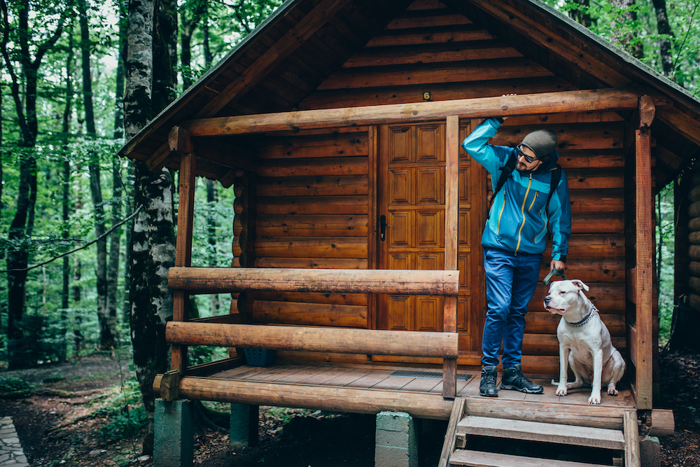 Get Away with Your Furry Friend in These Hocking Hills Dog Friendly Cabins