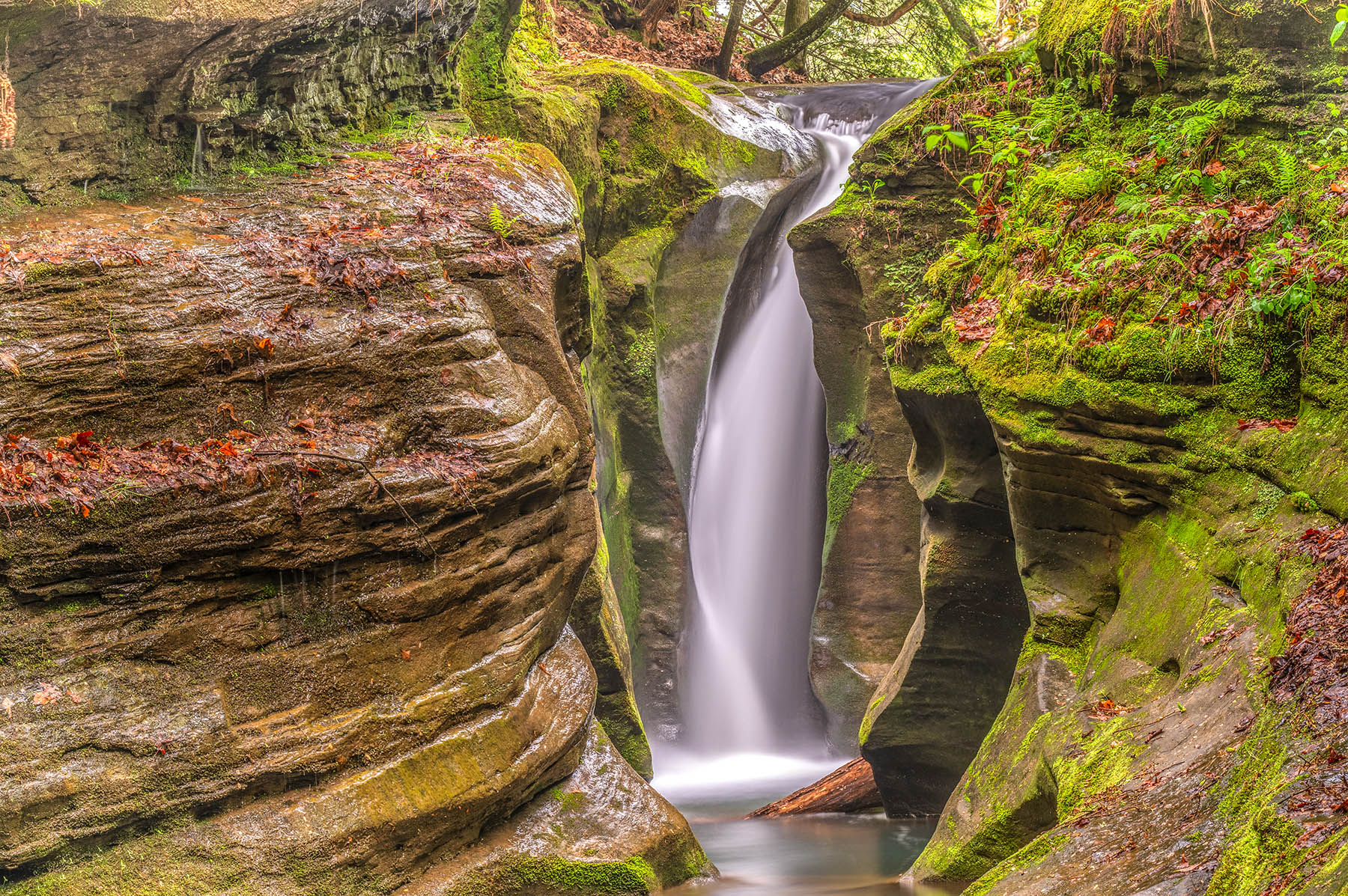 Top Photography Spots in Hocking Hills: Capturing Nature’s Masterpieces