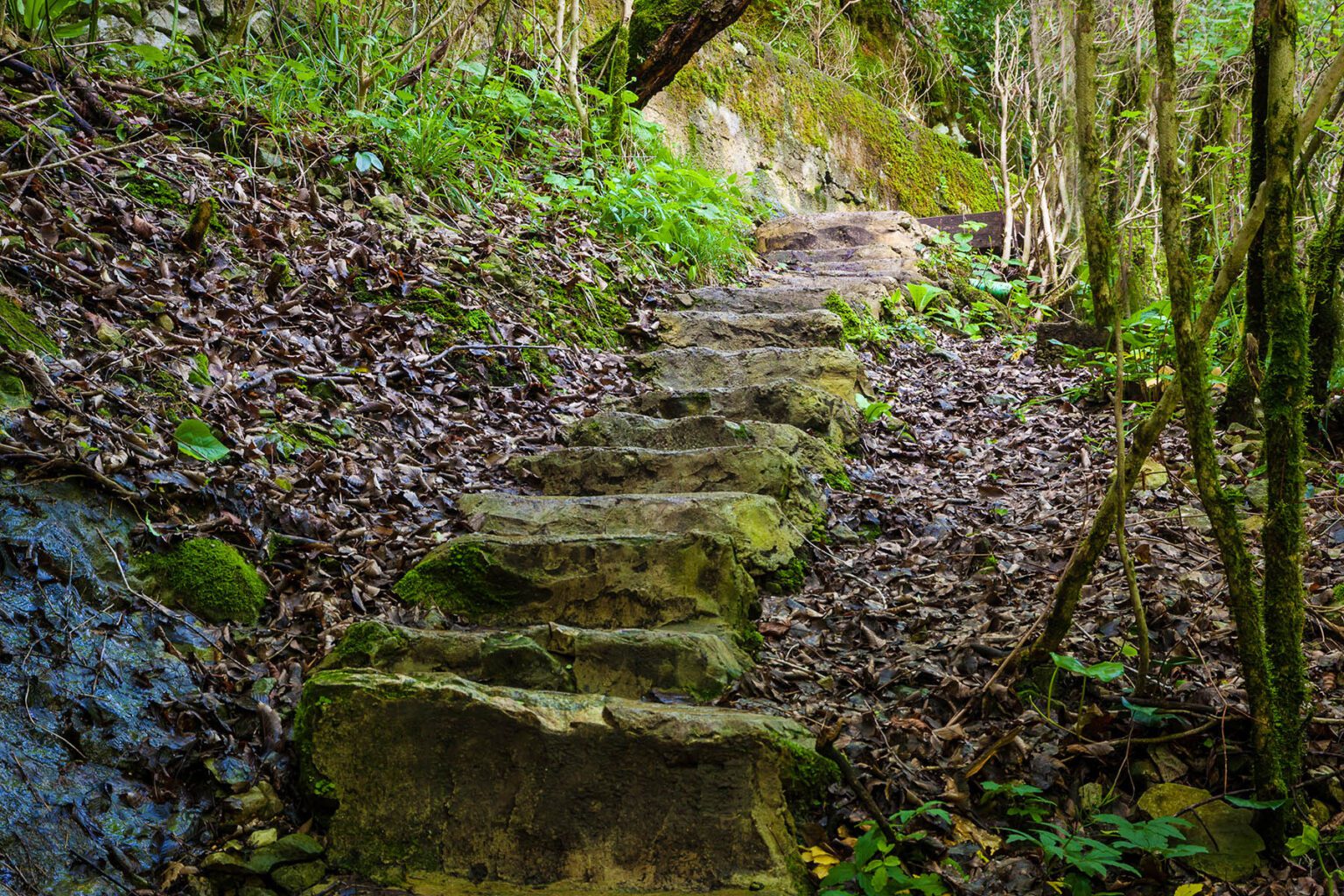 Hidden Gems of Hocking Hills Highlight lesserknown attractions and