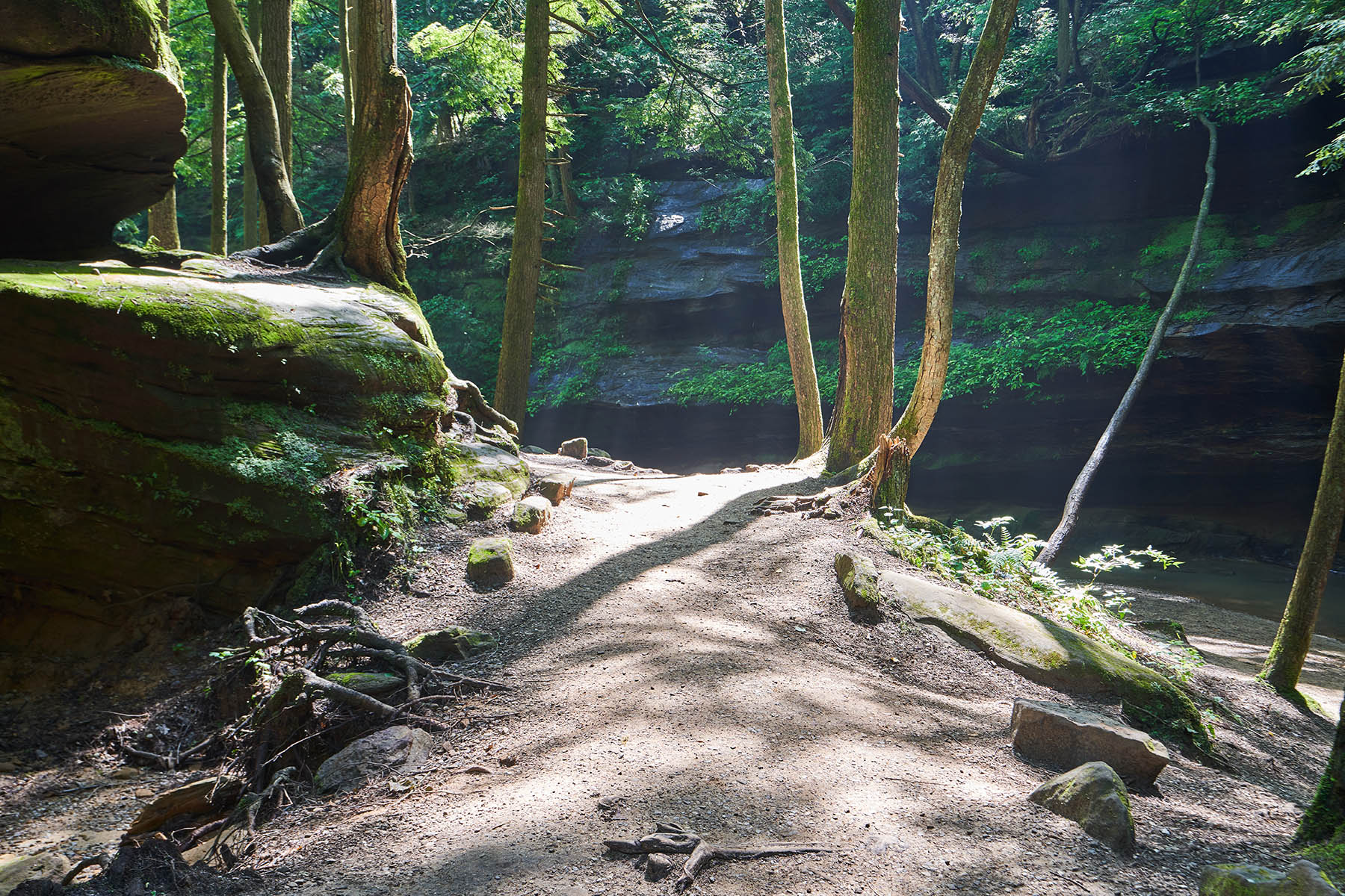 Adventures in Hocking Hills State Forest: A Comprehensive Guide