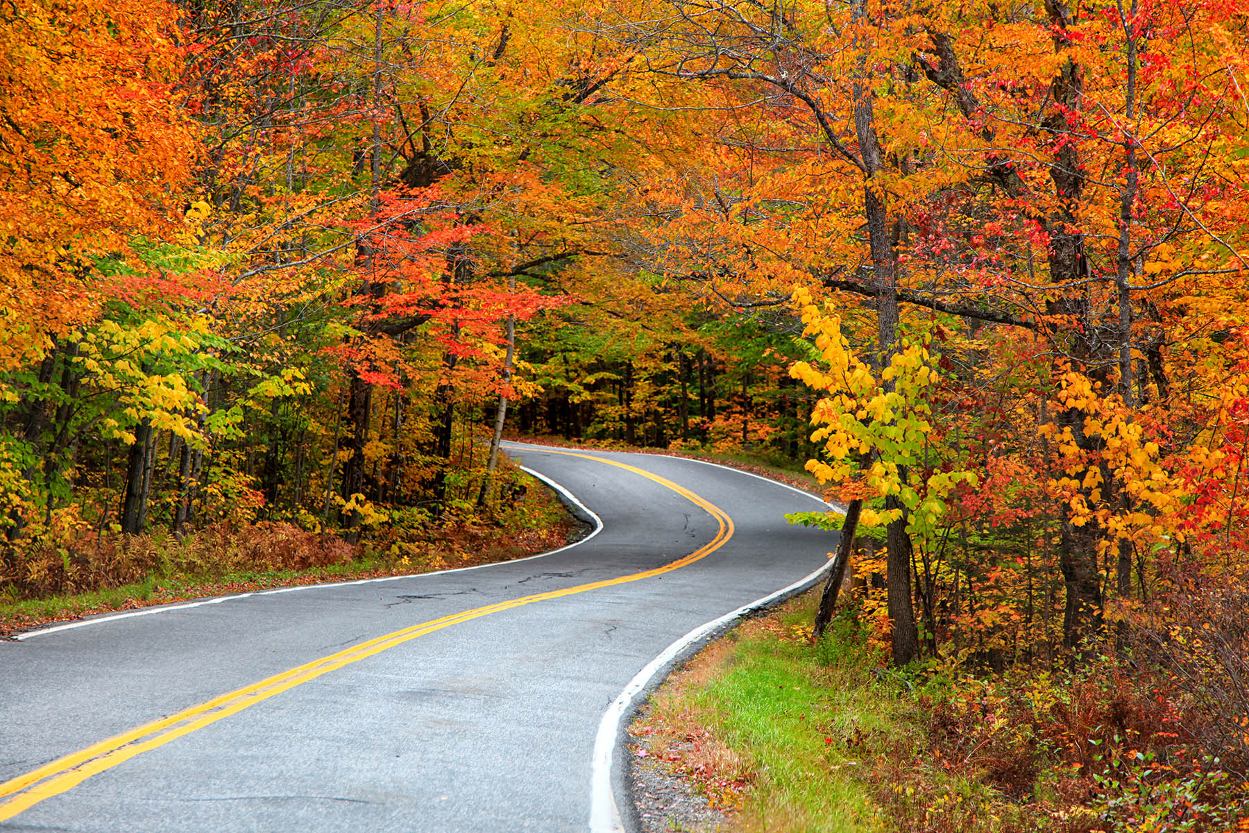 Hocking Hills Fall Foliage Drives: Experience Autumn’s Splendor